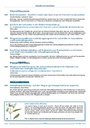 carelit_200356_5.jpg