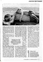 carelit_60639_4.jpg