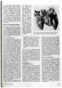 carelit_34556_4.jpg
