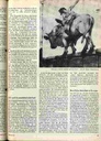 carelit_22233_3.jpg