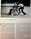 carelit_775415_2.jpg