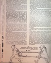 carelit_775400_5.jpg
