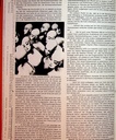 carelit_775399_3.jpg