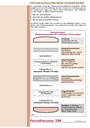 carelit_200826_8.jpg