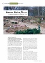 Kreuze, Steine, Tänze: Die Bestattungskultur verändert sich